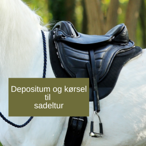 K�rsel/depositum sadelpr�vningsbes�g