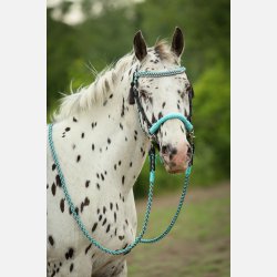 Barefoot Amber "Sidepull"