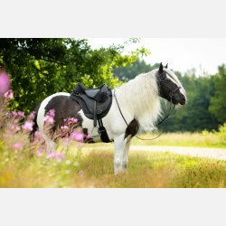 Barefoot 'JustAdjust'