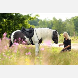 Barefoot 'JustAdjust'