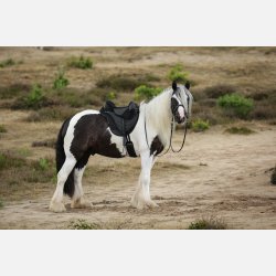 Barefoot 'JustAdjust'