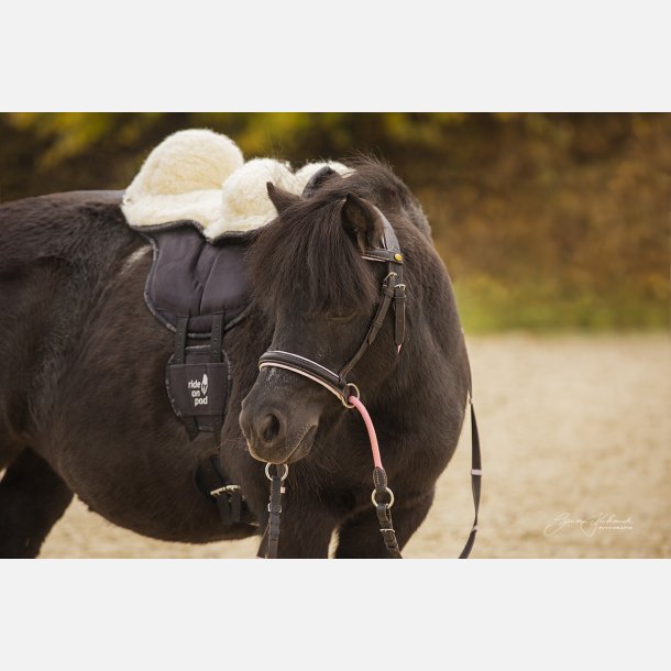 Pakke: Brne Ride on Pad &amp; Freuldssde