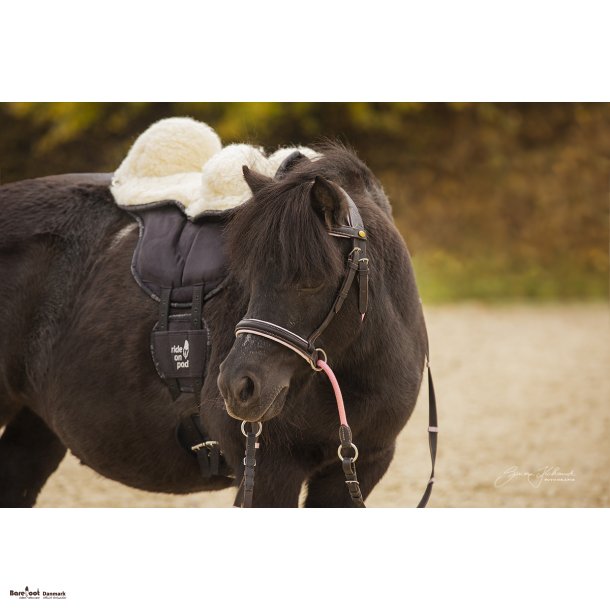 Pakke: Brne Ride on Pad &amp; Freuldssde