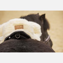 Pakke: Brne Ride on Pad &amp; Freuldssde