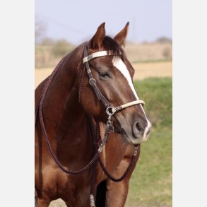 Barefoot Acorn sidepull 2-i-1 med rhud