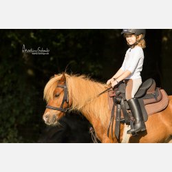 Barefoot Arizona Barry