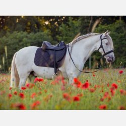 vegansk anatomisk trense og sadel barefoot-danmark vegitex 