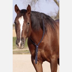 Barefoot Amber Cordeo