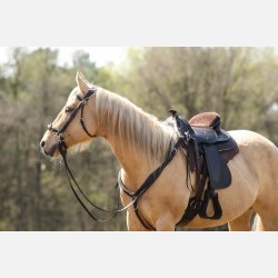 Barefoot Arizona Nut