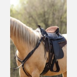 Barefoot Arizona Nut