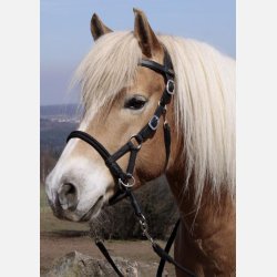 Barefoot Syringa sidepull