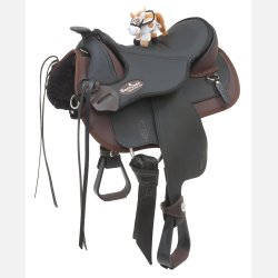 Barefoot Arizona Barry