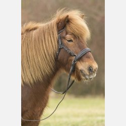 Barefoot  ' Contour Physio ' trense