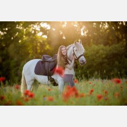 vegansk sadel og trense fra barefoot 