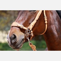 Komplet Flower hackamore - 3 dele