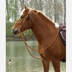 Barefoot Amber "Sidepull"