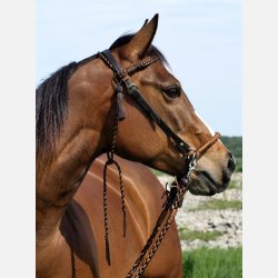 Barefoot Amber "Sidepull"