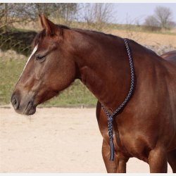 Barefoot Amber Cordeo