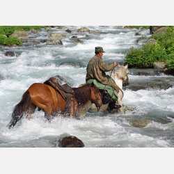 Barefoot  ' Atlanta '