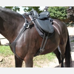 Fortj - Stretch &amp; Breath