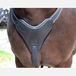 Fortj - Stretch &amp; Breath