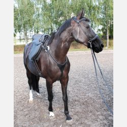 Fortj - Stretch &amp; Breath