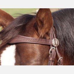 Barefoot Missoula Nut Westernhovedtj