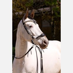 Barefoot Oaklet Hovedtj