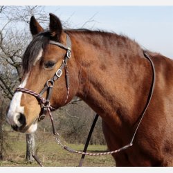 Barefoot Syringa sidepull