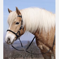 Barefoot Syringa sidepull