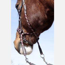 Barefoot Syringa sidepull