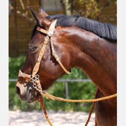 Barefoot Virginia Rose Westernhovedtj