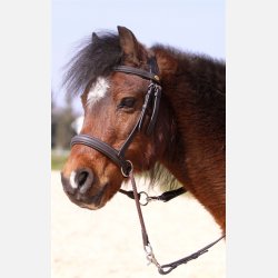 Barefoot Walnut bidlst ponyhovedtj