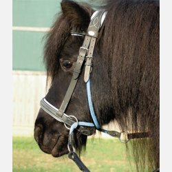 Barefoot Walnut bidlst ponyhovedtj