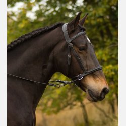 Barefoot Walnut bidlst hovedtj