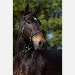 Barefoot Walnut bidlst hovedtj