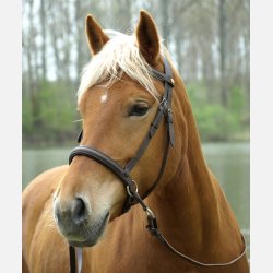 Barefoot Walnut bidlst hovedtj