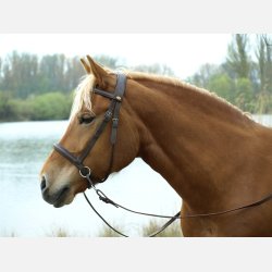 Barefoot Walnut bidlst hovedtj