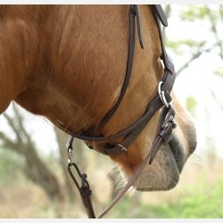 Barefoot Walnut bidlst hovedtj