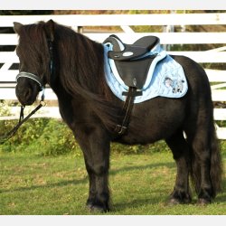 Barefoot Cheyenne Bellis PONY 
