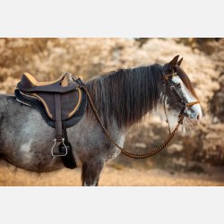 Pro Cheyenne Mustard "Limited edition"