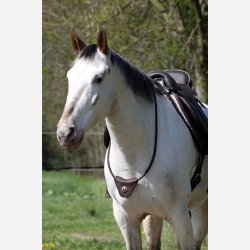 Barefoot� Communication Cordeo