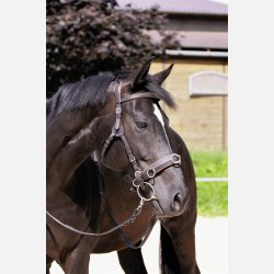 Barefoot  ' Contour Physio ' trense