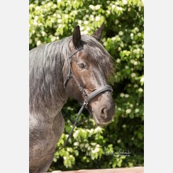 Barefoot  ' Contour Physio ' trense