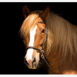 Contour Trail Hovedtj