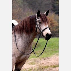 Contour Trail Hovedtj