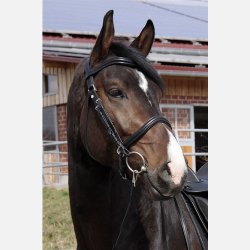 Wellington Contour 2 i 1 hovedtj