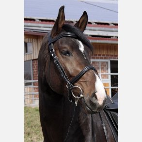 Wellington Contour 2 i 1 hovedtj