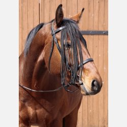 Barefoot Pandebnd St 2 i 1 med fluebeskyttelse