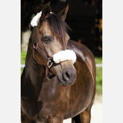 Grime 'Stretch &amp; Breath'